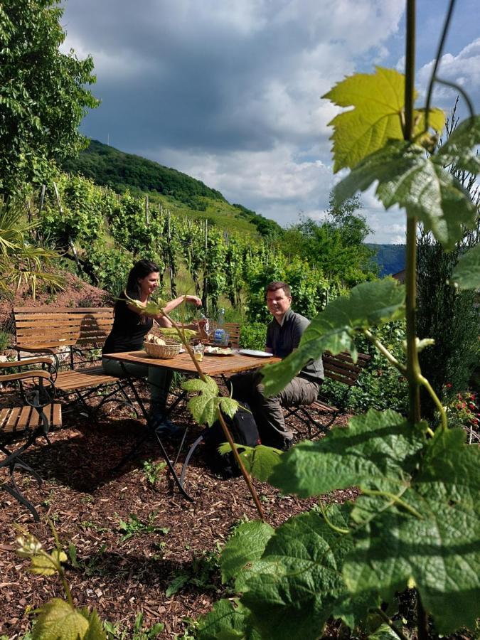 Weingut Erich Serwazi 메세니흐 외부 사진